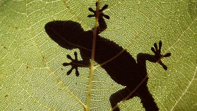 The Secret World of Nature: Spain image