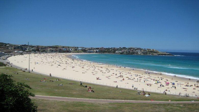 Bondi Rescue image