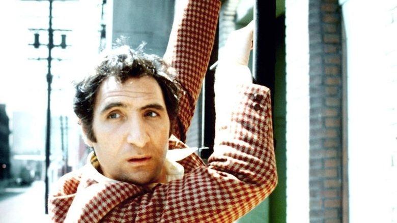 Delvecchio image