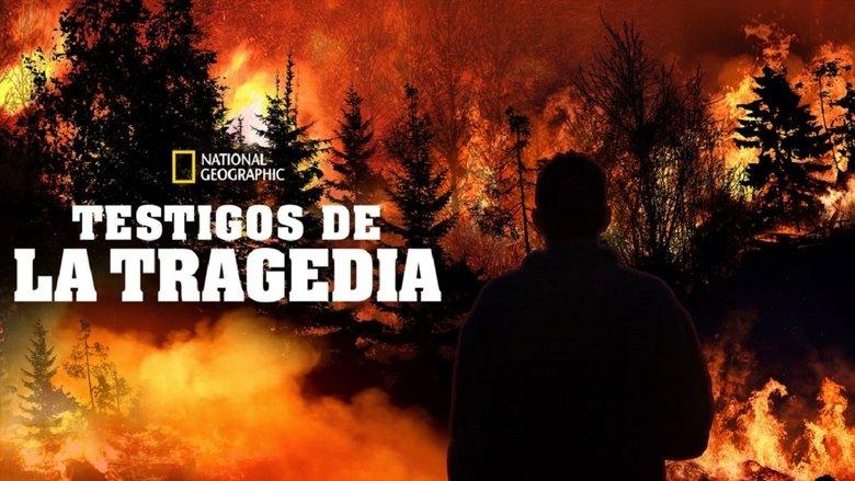 Testigos de la tragedia image