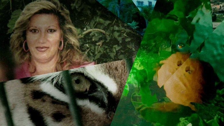 Lucía in the Cobweb image