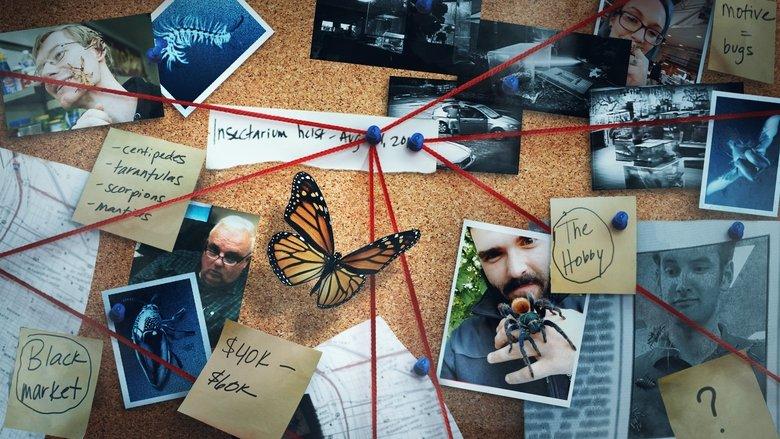 Bug Out image