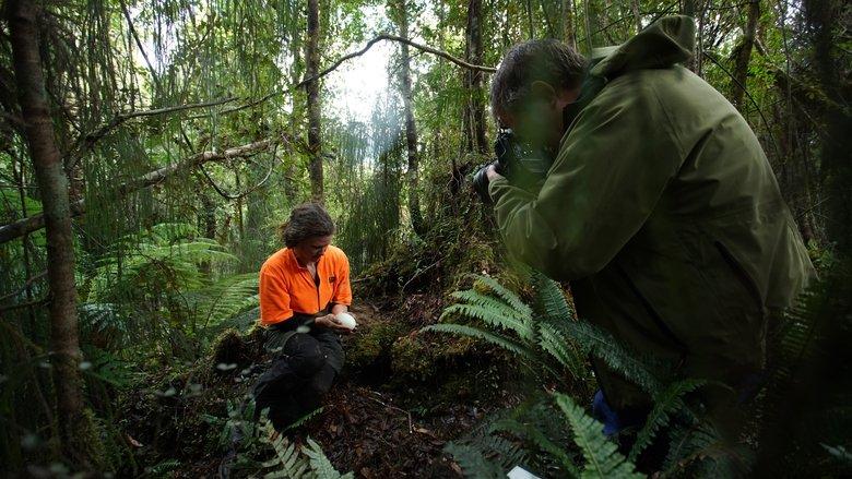 Rare: Creatures of the Photo Ark image