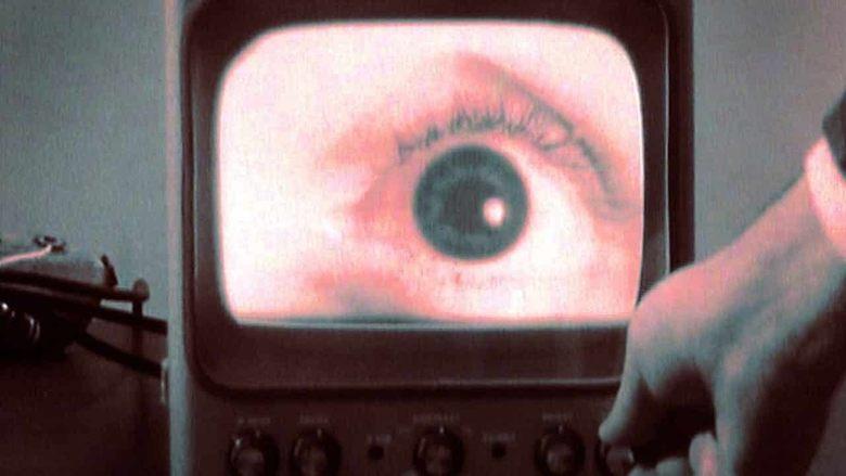 All Watched Over by Machines of Loving Grace image