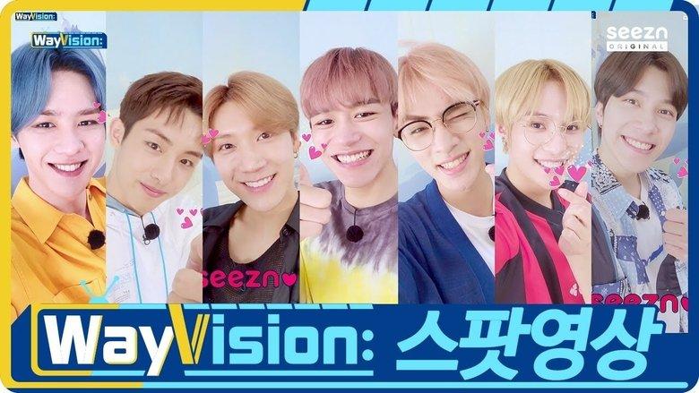 WayVision image