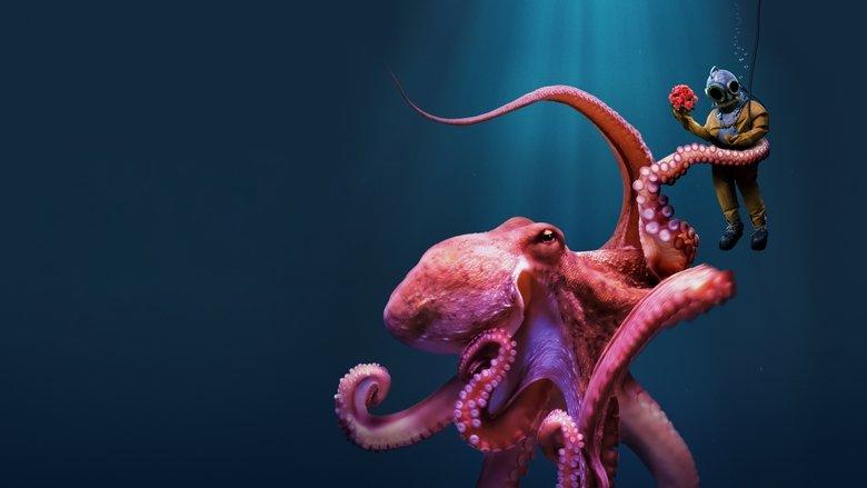 Octopus! image