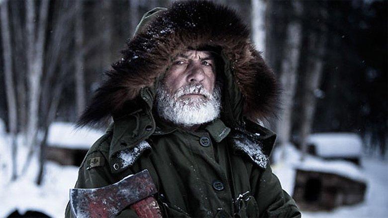 Great Wild North image
