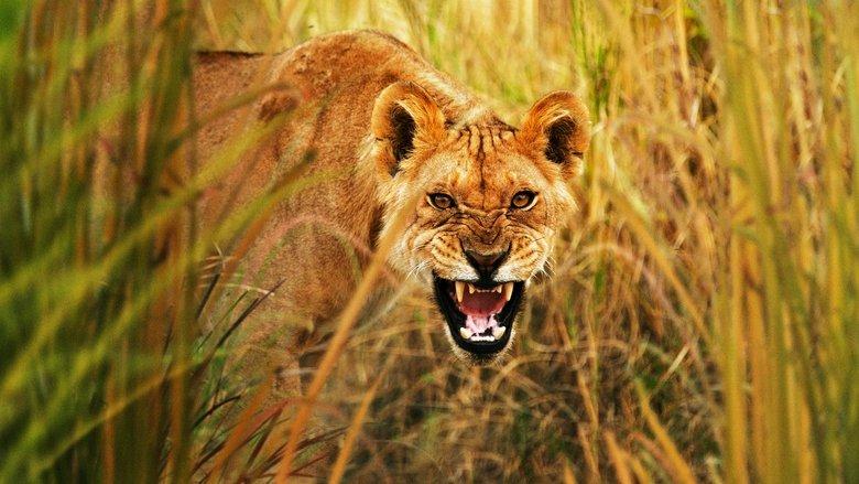 Secret Life of Predators image