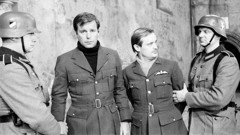 Colditz image