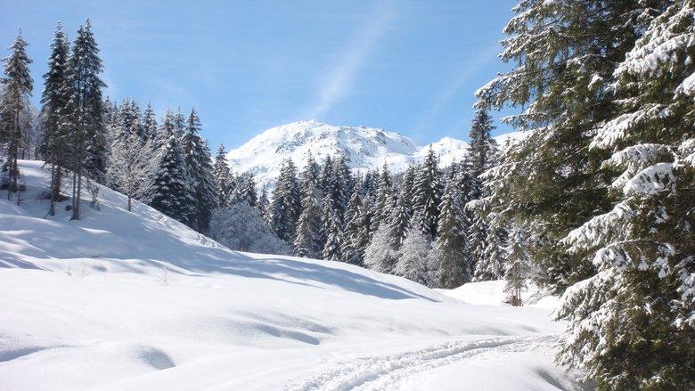 Weißblaue Wintergeschichten image