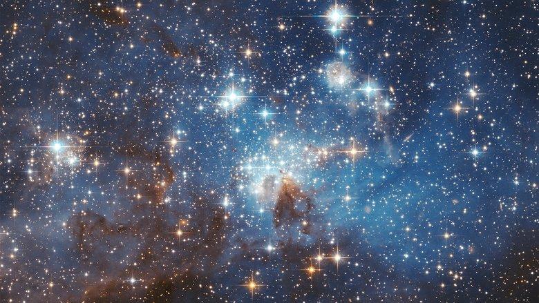 The Astronomers image