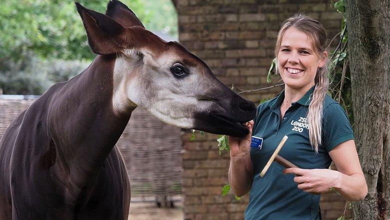 London Zoo: An Extraordinary Year image