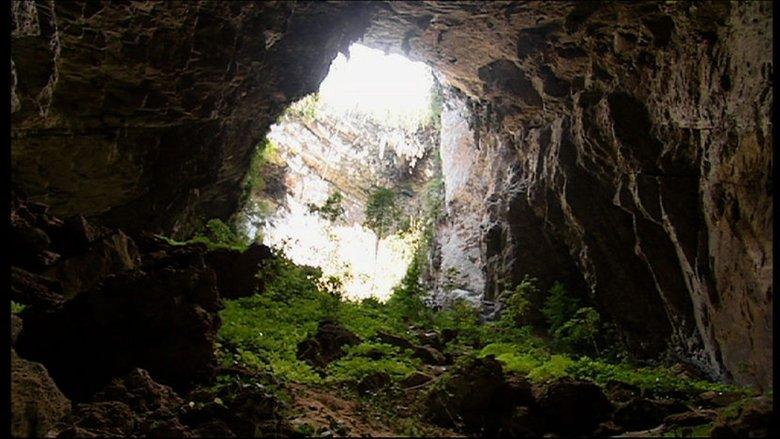 Expedition Borneo image