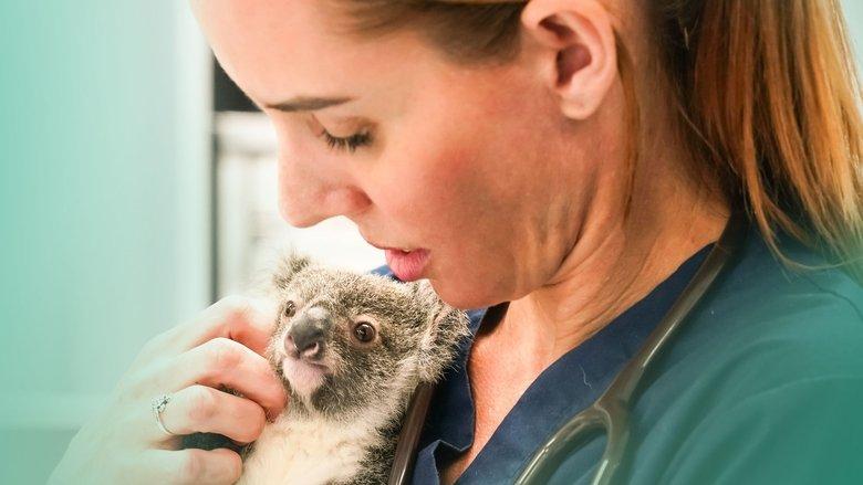Wildlife ER image