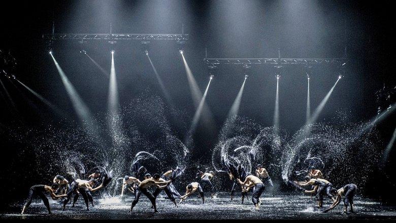 A Swan Lake image