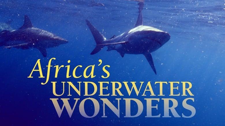 Africa's Underwater Wonders image