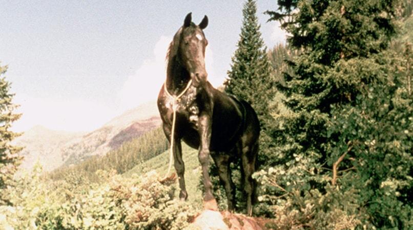 Highland Dale image