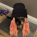 Nicole profile photo