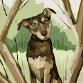 Brylie profile photo