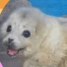 Wyatt profile photo