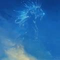 Nusayba profile photo