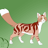 Maplestar profile photo