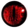 oyak profile photo