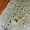 Maycee profile photo