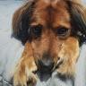 kristian profile photo