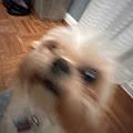 Blueberry_ profile photo