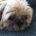 Cora profile photo