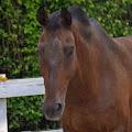 Lexi profile photo