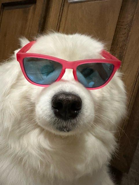 londin profile photo