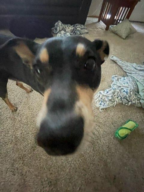 hannah profile photo