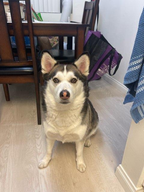 Lunabelle profile photo