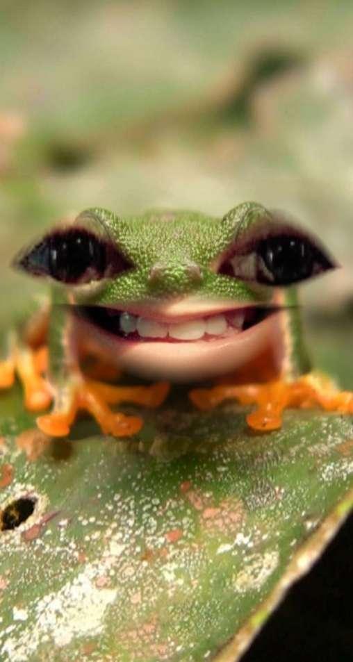 Csenge profile photo