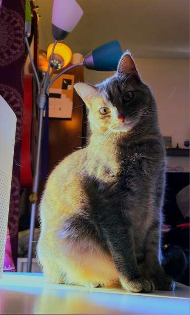 Owen profile photo