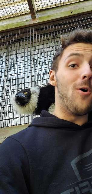 Josh profile photo