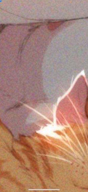 Saige profile photo