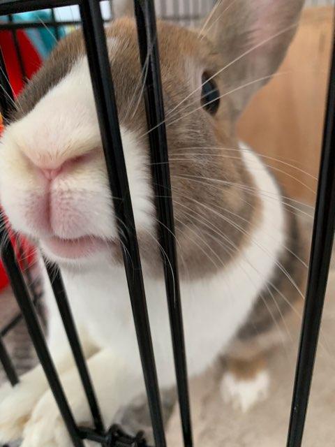 Riley profile photo
