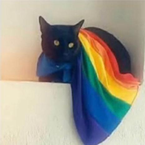 Kodi✨🌈 profile photo