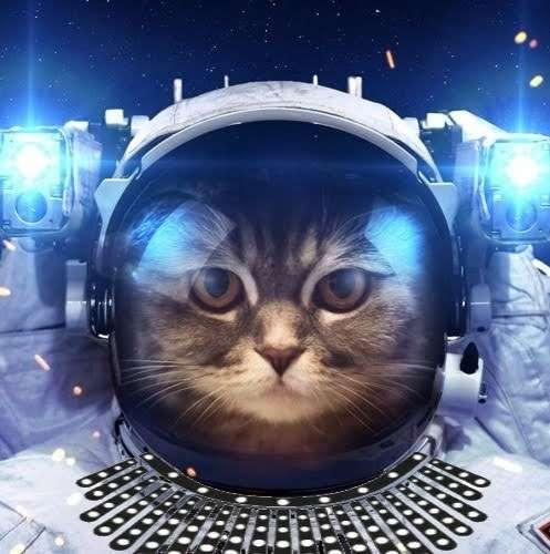 Marcus profile photo