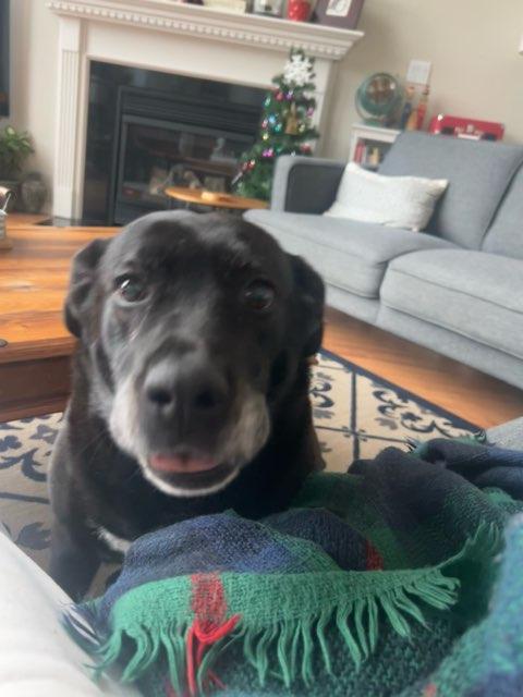 Laila profile photo