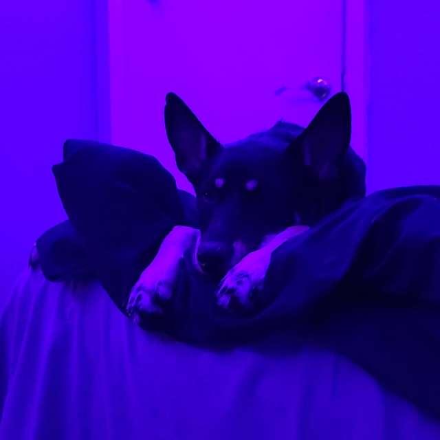 Sophia profile photo
