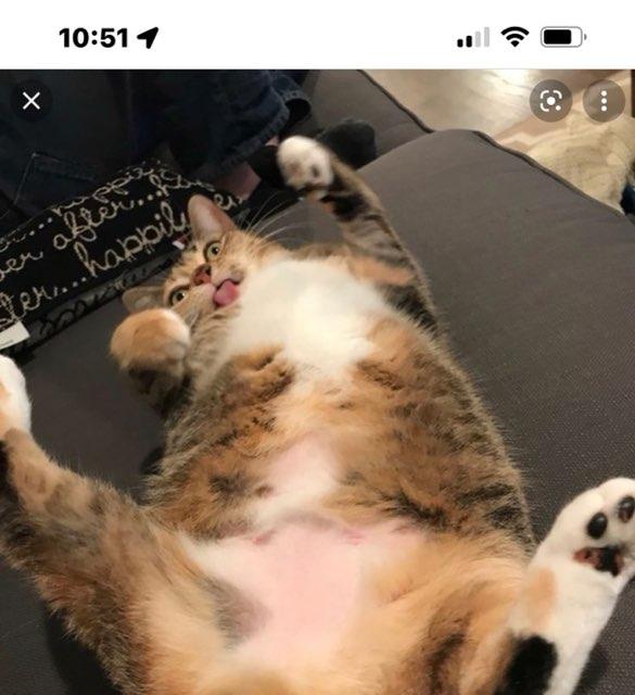 Abby profile photo