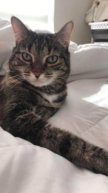 Maya profile photo