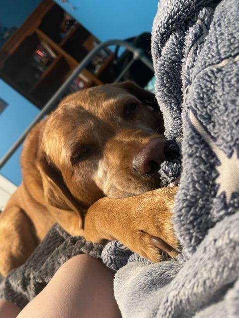 Potato profile photo