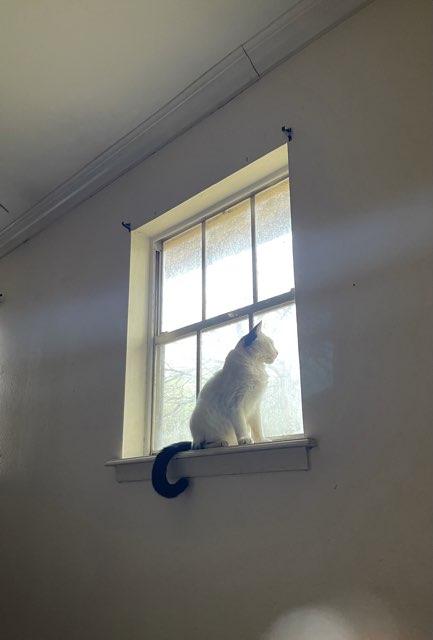 Zoe profile photo