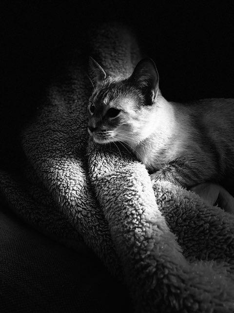 Lilliana profile photo