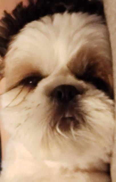 flix profile photo